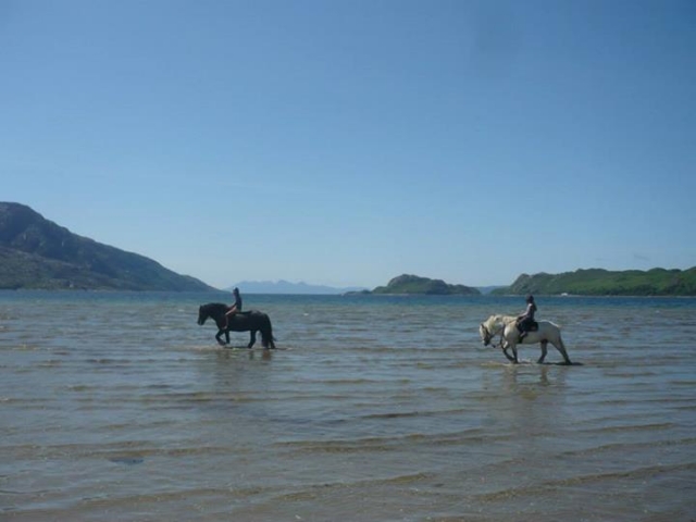 Beach rides